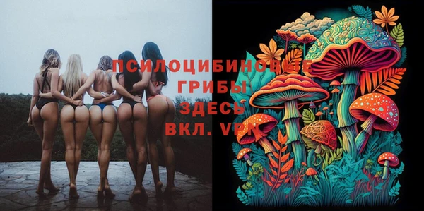 стафф Белокуриха