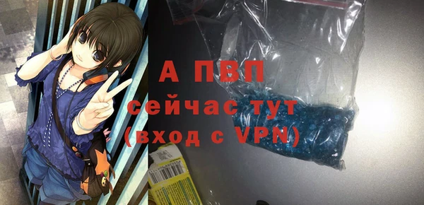 стафф Белокуриха