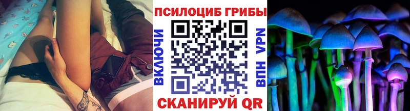 Галлюциногенные грибы MAGIC MUSHROOMS купить закладку Невьянск